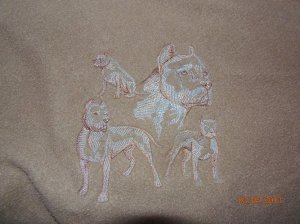 ??????????????????????