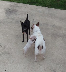 ??????????????????????