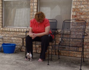 ??????????????????????