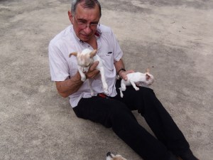 OLYMPUS DIGITAL CAMERA