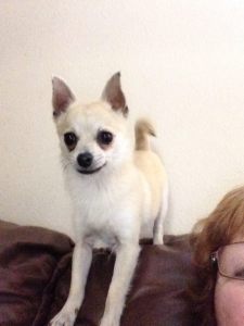 Pepper Checking Out His New Home