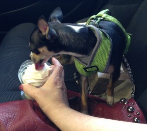 Diego says he's going to like summer in Texas if I keep buying him ice cream