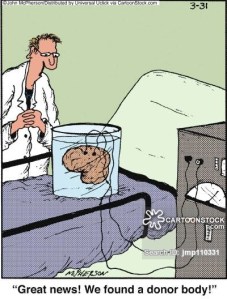 'Great news! We found a donor body!'