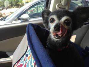 Fancy licking her lips with whipped cream on her chin