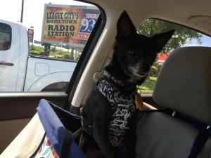 Gypsy: "Let me outta here!"