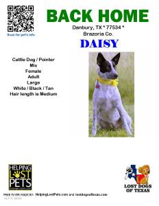Daisy has been found!!!!!!!!!!!!